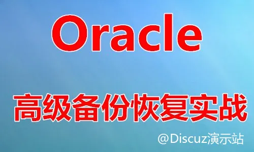 Oracle RMAN 高级数据备份与恢复课程 (图1)