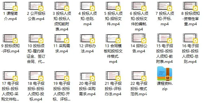 政府采购招标文件深度解析课程 (图1)